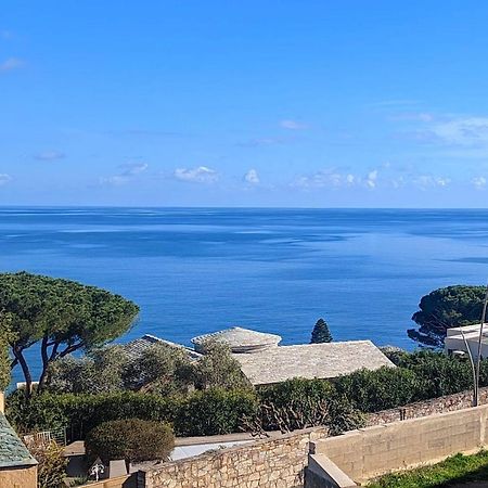 Superb Apartment With Sea View, 200M From Beach San-Martino-di-Lota Exteriér fotografie