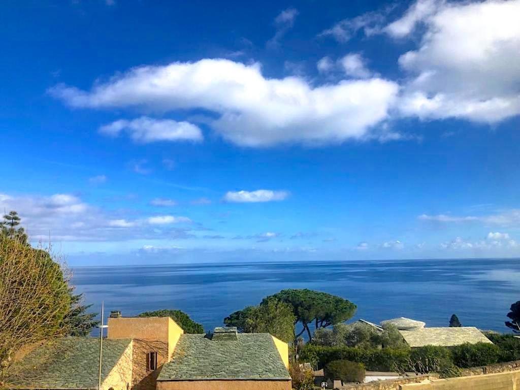 Superb Apartment With Sea View, 200M From Beach San-Martino-di-Lota Exteriér fotografie
