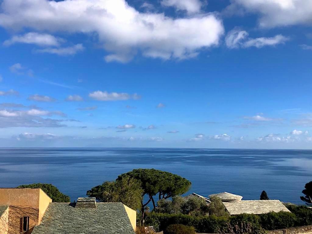 Superb Apartment With Sea View, 200M From Beach San-Martino-di-Lota Exteriér fotografie